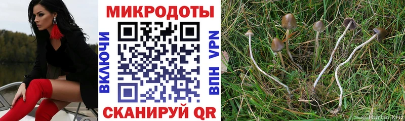 Купить  Харовск  Галлюциногенные грибы ЛСД 